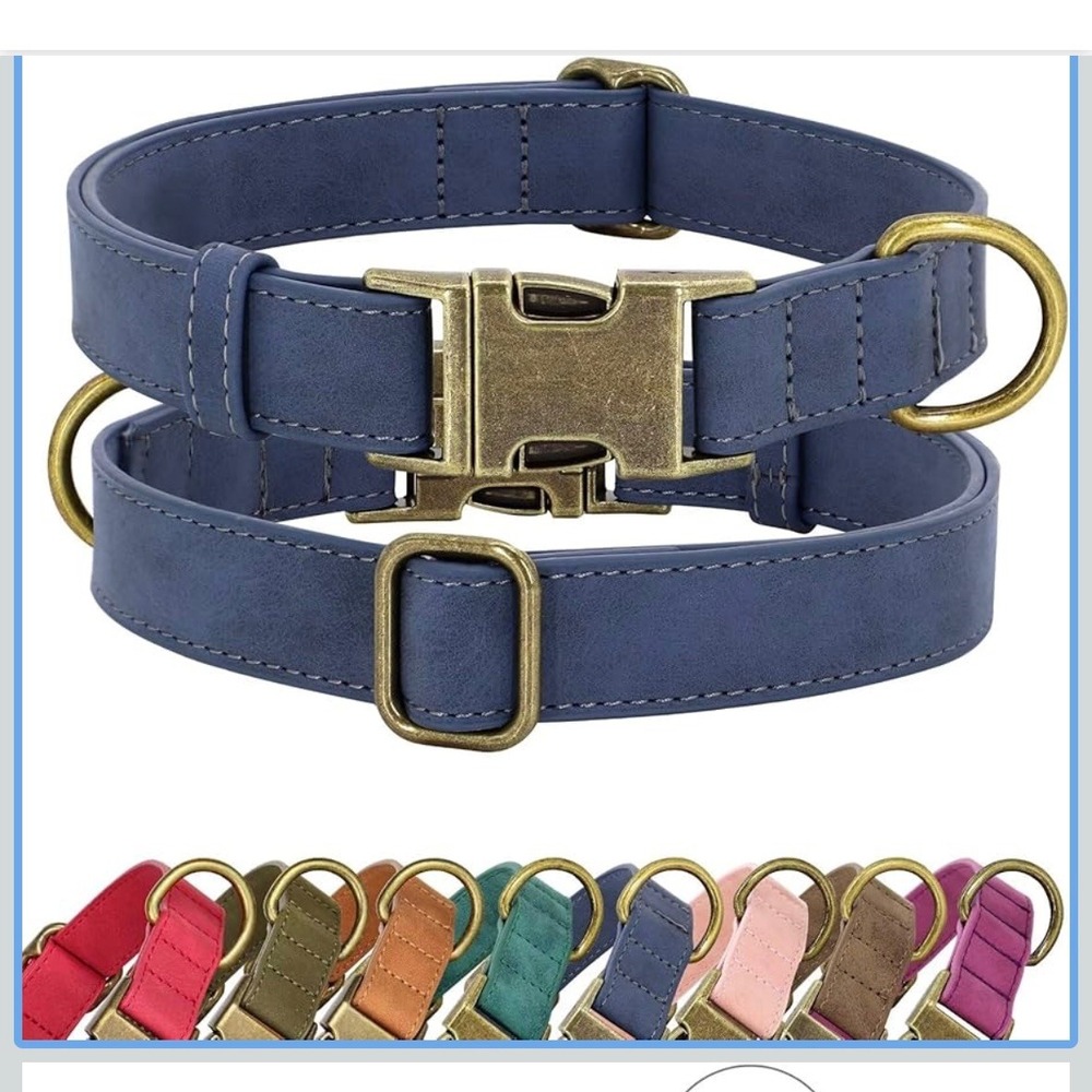 Didog‎ Leather Dog Collar Metal Buckle Adjustable Pet Puppy Neck Strap Medium
